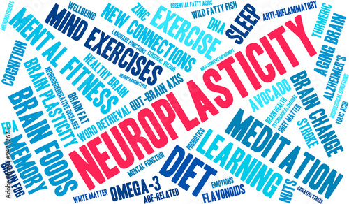 Neuroplasticity Word Cloud