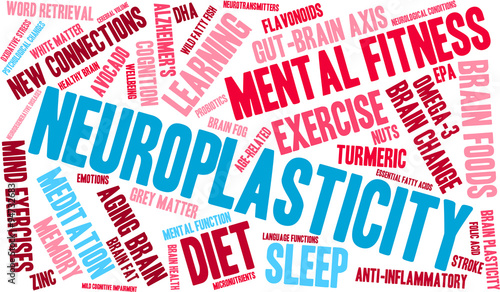 Neuroplasticity Word Cloud