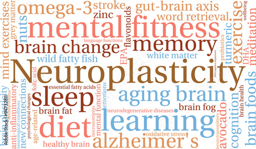 Neuroplasticity Word Cloud
