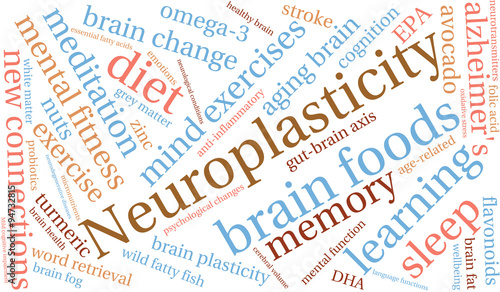 Neuroplasticity Word Cloud