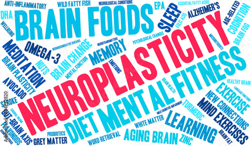 Neuroplasticity Word Cloud