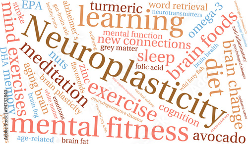 Neuroplasticity Word Cloud