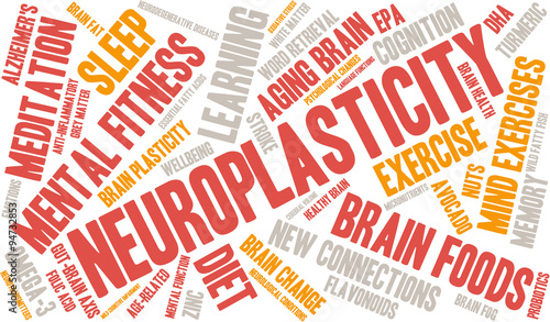 Neuroplasticity Word Cloud