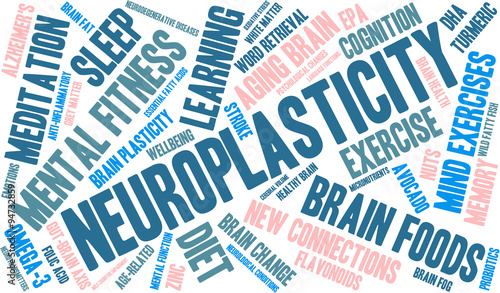 Neuroplasticity Word Cloud