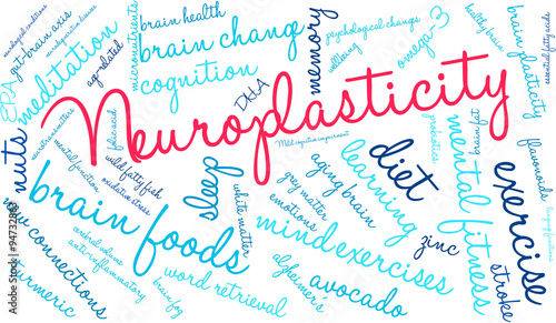 Neuroplasticity Word Cloud