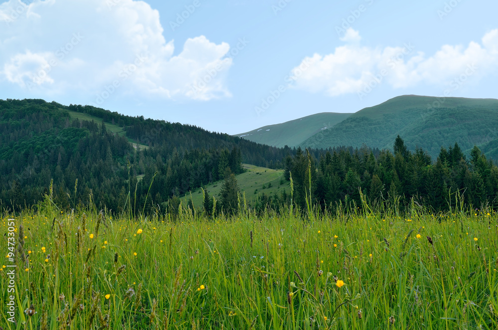 Fototapeta premium Nature mountains, high mountains and green forests.