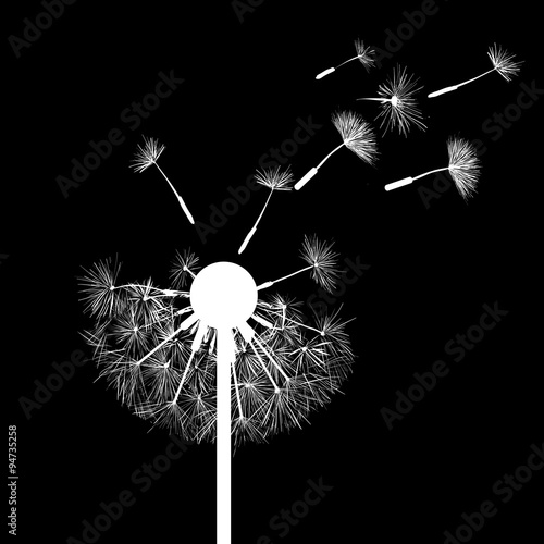 Fototapeta Naklejka Na Ścianę i Meble -  dandelion flowers