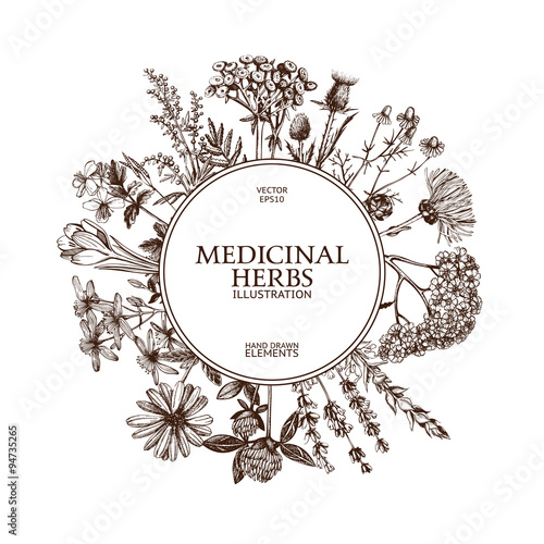 Vector design with hand sketched herbs. Retro background with medicinal herbs. Vintage tempate