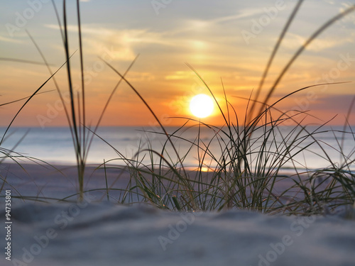 strand  strandhafer  sonnenuntergang am meer