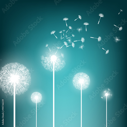 Fototapeta Naklejka Na Ścianę i Meble -  natural background.