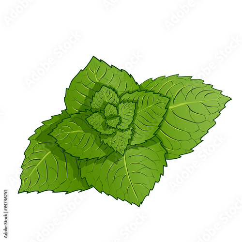 Sprig of mint.