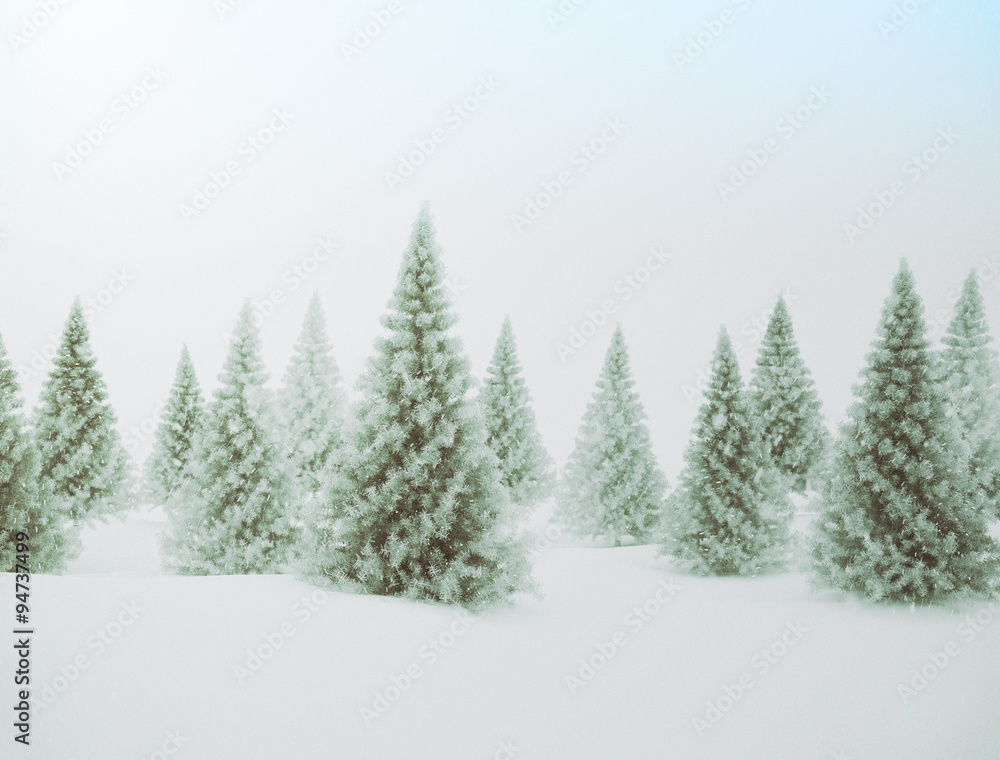 Winter scene with green pine trees and snow