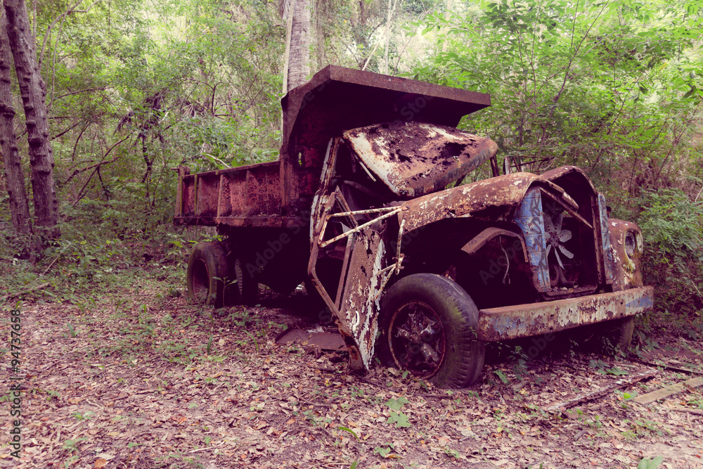 Abandoned truck in the jungle