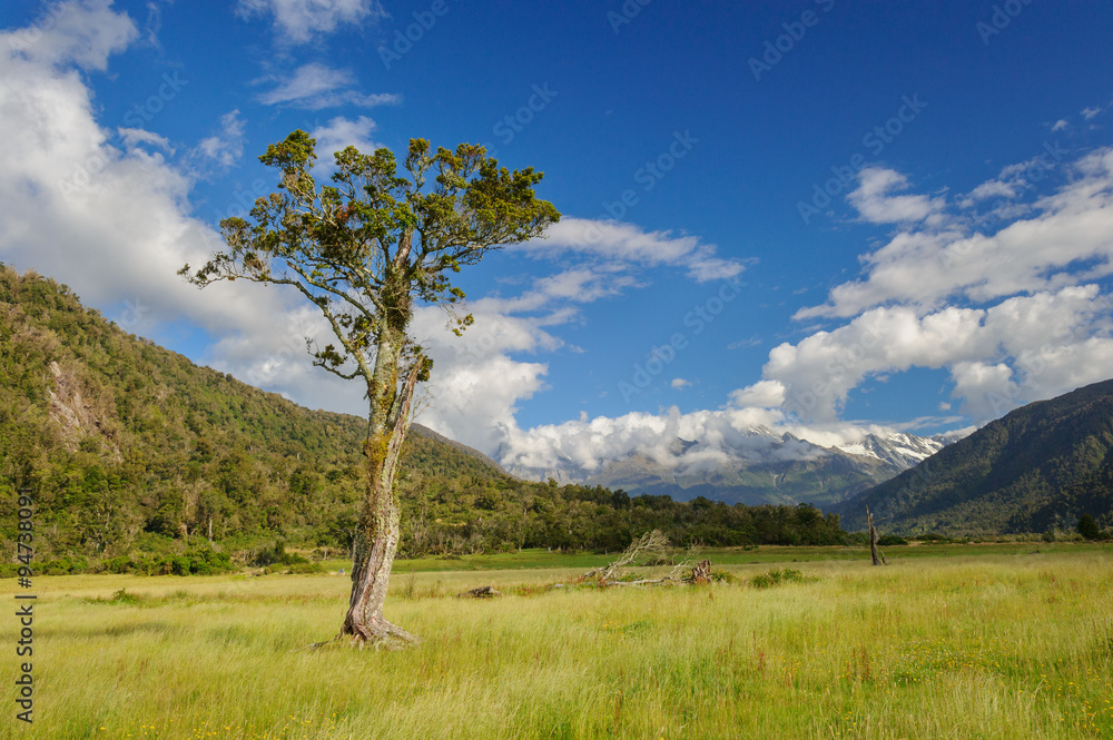 Neuseeland Landschaft Southern Alps