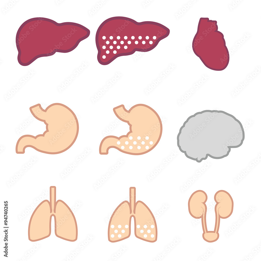 Set of internal organs: liver, lungs, brain, kidneys, heart. Liver injury, pulmonary