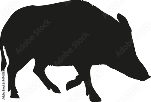 Wild pig silhouette