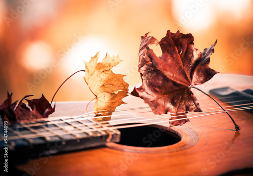vintage guitar with faded leafs