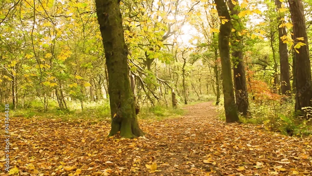 Beautiful Autumn in the park, Coatbridge, Scotland Beautiful Autumn in the park, Coatbridge, Scotland