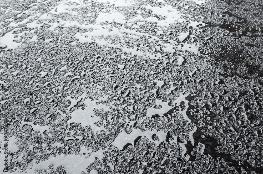 Water drops on wet asphalt, background texture - obrazy, fototapety, plakaty 
