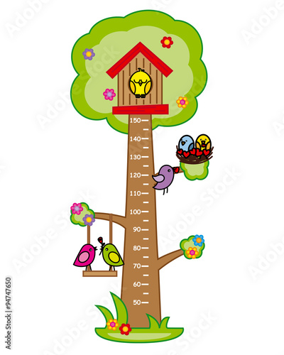 Bumper children meter wall. Tree and birds.