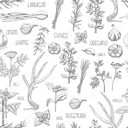 Seamless pattern with herbs and spices