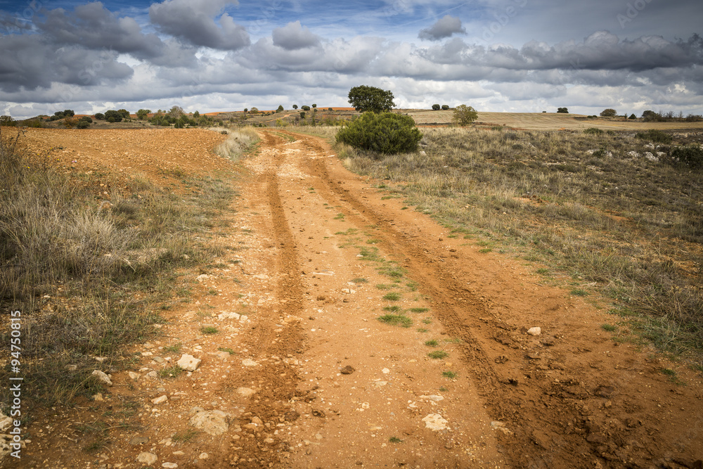 landscape with a red land rural path on a cloudy day landscape with a red land rural path on a cloudy day