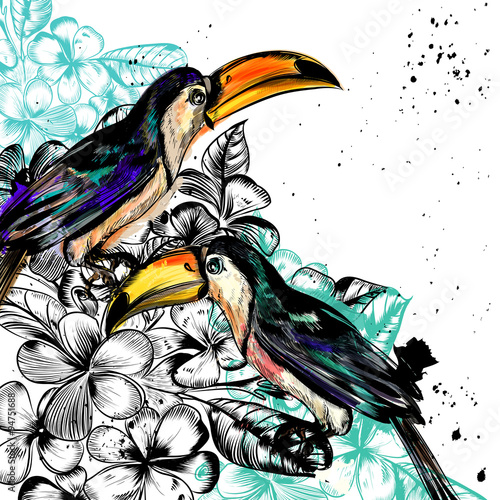 Background with tropical flowers and toucan birds in engraved an