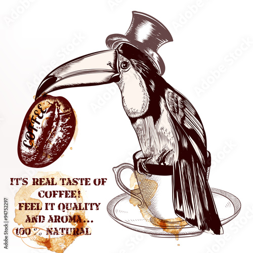 Coffee vector background or poster with hand drawn toucan bird h