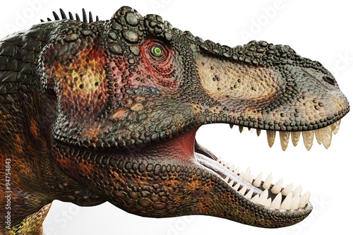 t-rex big head © DM7