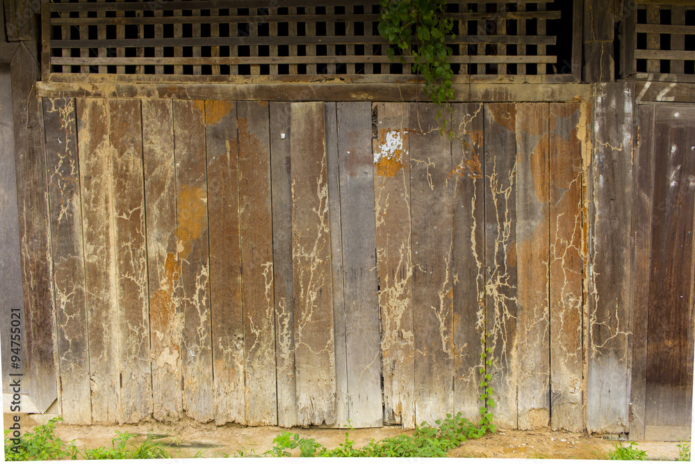 The old Door and Termites surface and tendril and texture The old Door and Termites surface and tendril and texture
