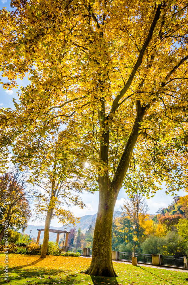 Fototapeta premium Herbstzeit