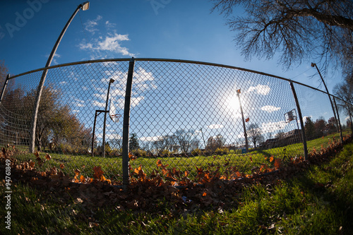 Autumn leaves blown against a fence lit by the sun.