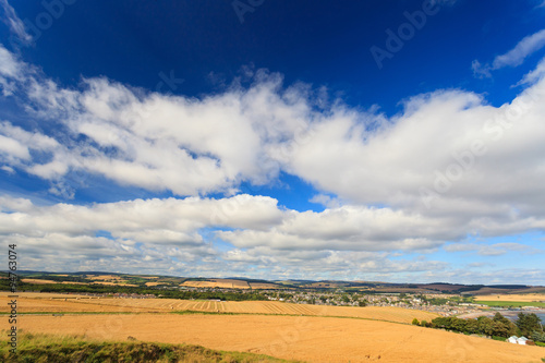 Wheat field and blue sky with clouds at shore line 