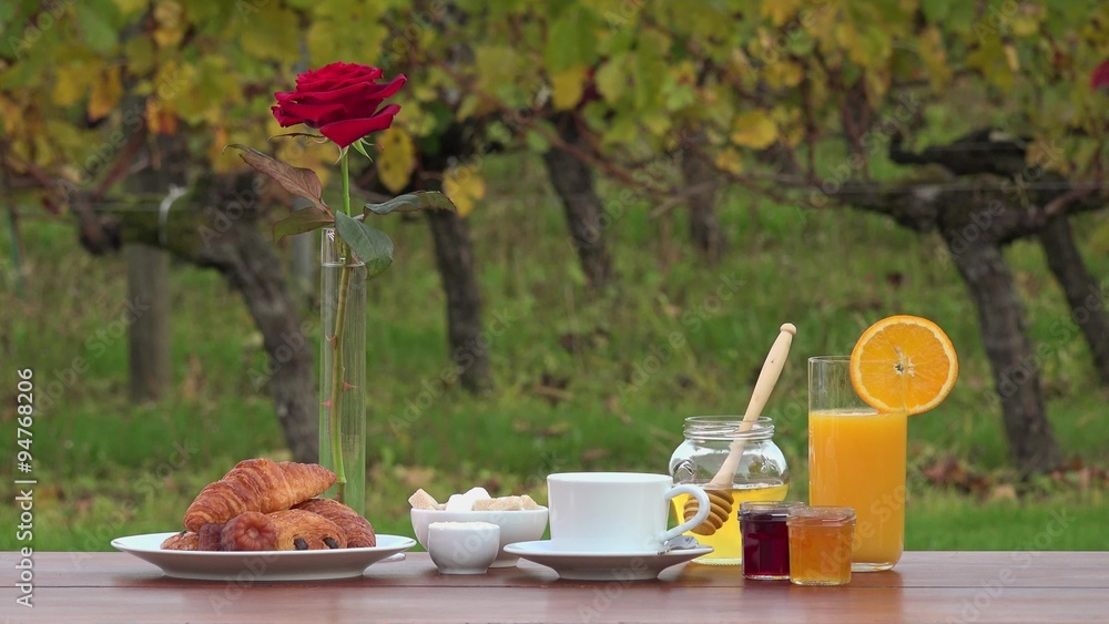 French breakfast on vineyards background,