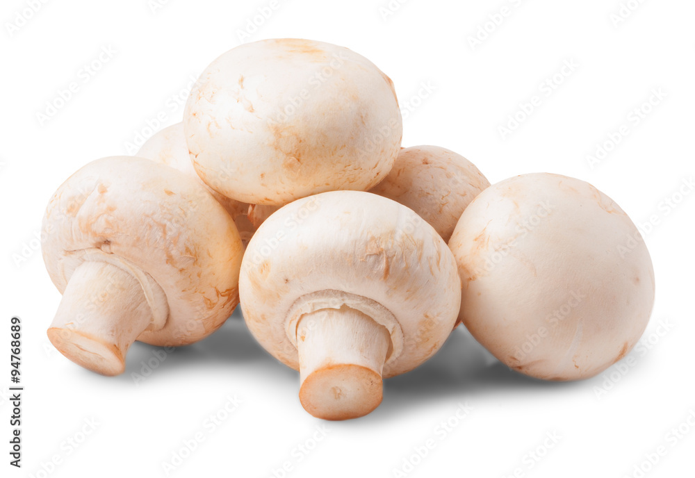 Mushrooms isolated on white