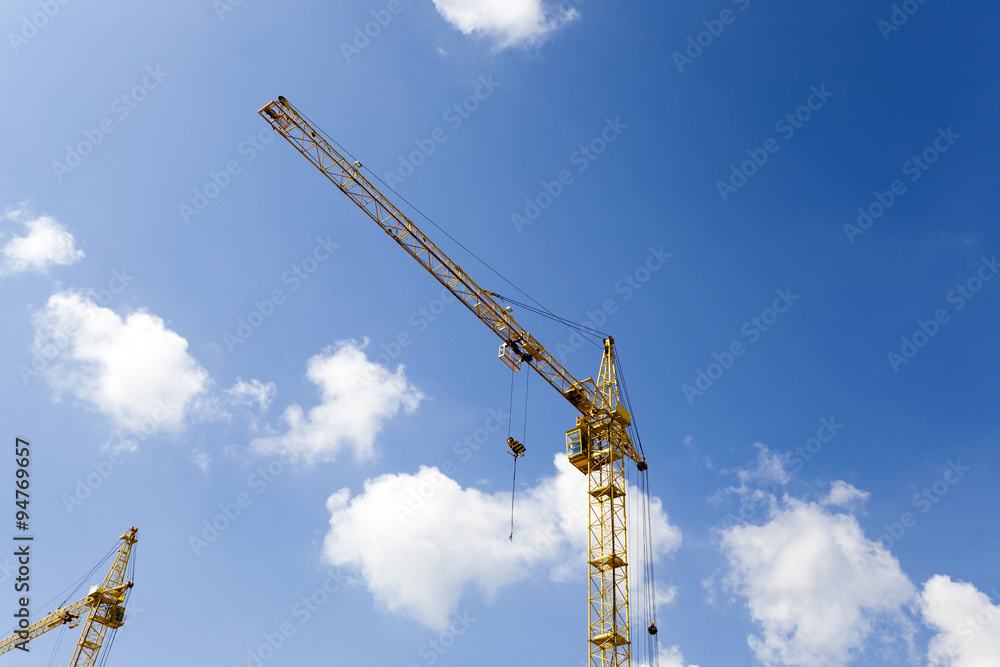 Cranes close up Cranes close up