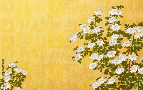 和風背景白菊