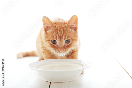 Fototapeta Naklejka Na Ścianę i Meble -  Cute ginger kitten