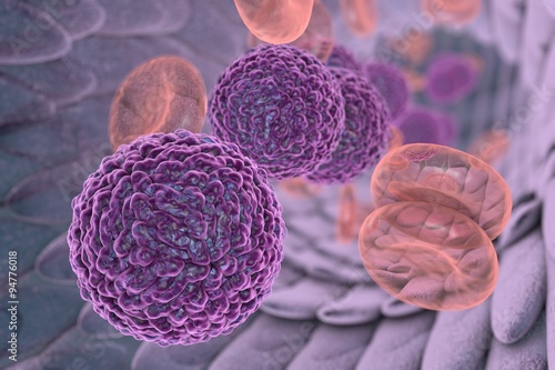 Dengue virus in blood vessel with red blood cells. A model of virus is built using data of macromolecular structure furnished by Protein Data Bank (PDB 3J27) photo