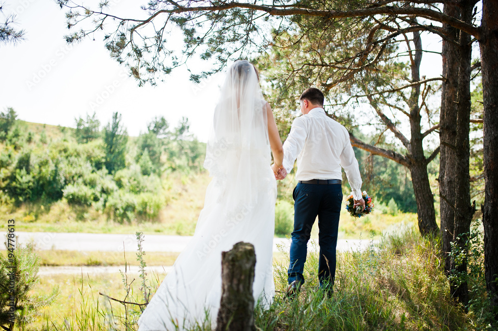 wedding couple on pine forest in love wedding couple on pine forest in love