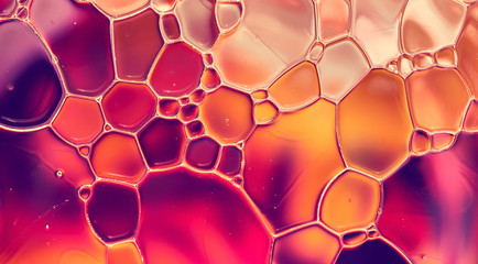 Papier peint photo Photographie macro Gouttes d'eau colorées en macro abstraite  © Cobalt