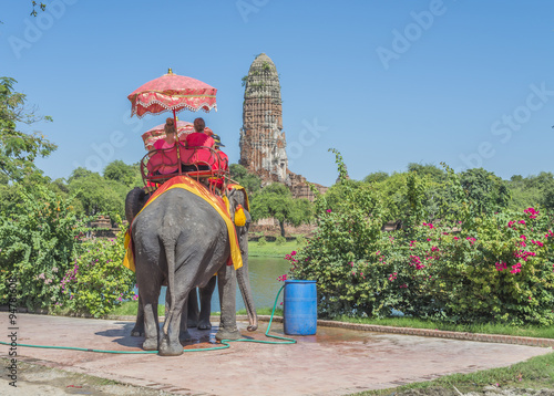 Photography Tourists elephant rides