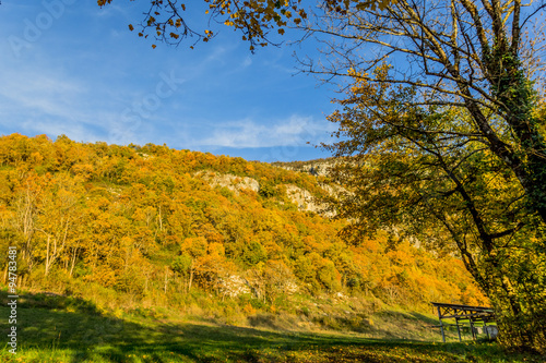 Couleurs d'automne en région Rhône Alpes