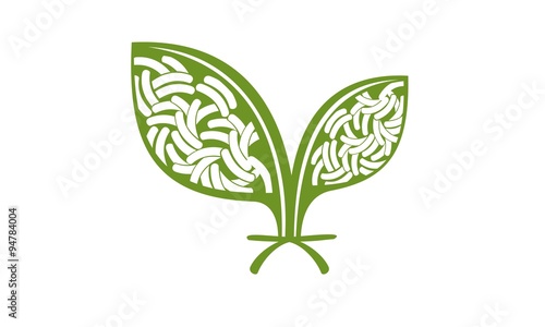 germ agricultural plant leaves