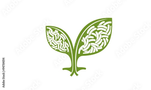 germ agricultural plant leaves
