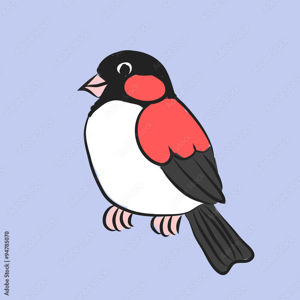 Obraz premium Magpie