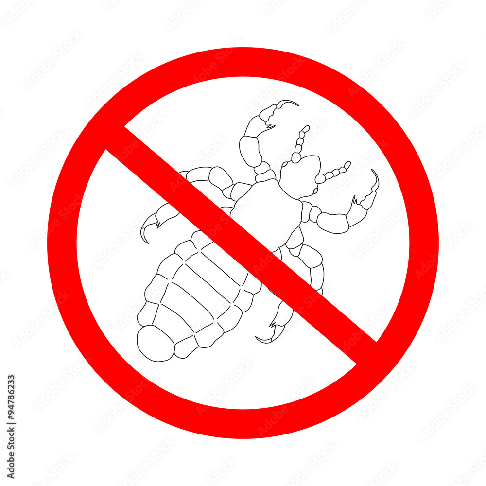 prohibition sign A head human louse. Pediculus humanus capitis. Sketch of  louse. louse isolated on white background Stock Vector | Adobe Stock