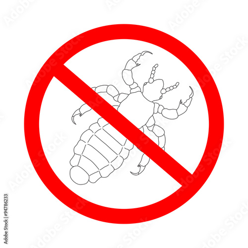 prohibition sign A head  human louse. Pediculus humanus capitis. Sketch of louse.  louse isolated on white background