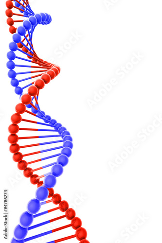 DNA Helix on white background