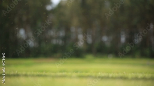 Close up of a golf ball being played